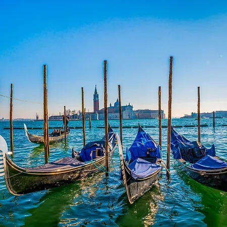 In 43483 ביביונה