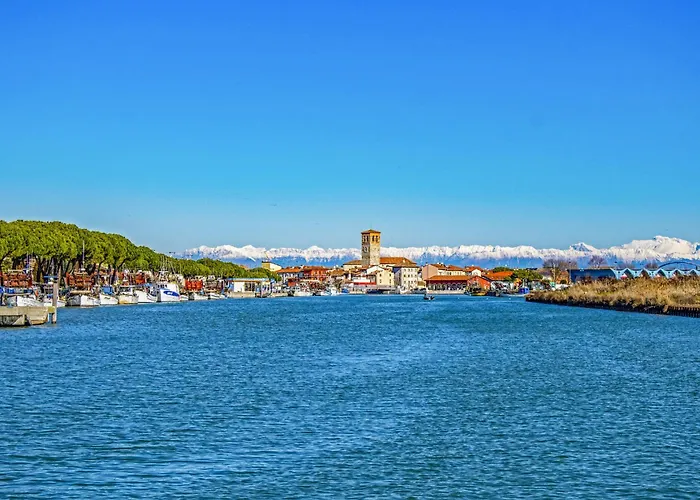 In 43483 * ביביונה